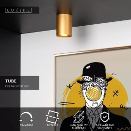 TUBE griestu spotlampa Ø9,6 cm 1xGU10 50W matēta zelta/misiņa (Lucide)