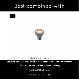 TUBE griestu spotlampa 1xGU10 50W matēta zelta/misiņa (Lucide)