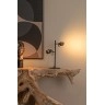 TUNDRAN galda lampa 30x15 cm 2xGU10 melna (Lucide)
