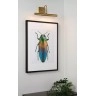 VINZ gleznas lampa 2 x 28 W G9 matēta zelta/misiņa (Lucide)