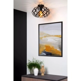 WOLFRAM griestu lampa Ø30 cm 1 x E27 melna (Lucide)