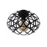 WOLFRAM griestu lampa Ø30 cm 1 x E27 melna (Lucide)