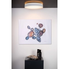 Griestu lampa "NURIA", 1x24W, akrils, Lucide, 79182-24-31