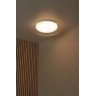 SKETES LED CCT griestu lampa Ø35,2 cm 18 W caurspīdīga (Lucide)