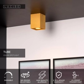 TUBE griestu prožektors kvadrātveida 1xGU10 50W matēta zelta/misiņa (Lucide)