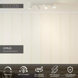 XYRUS LED dim-to-warm griestu prožektors 4x5 W balts (Lucide)