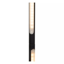 FINAN LED stāvlampa 32 W 2700 K dimmējama melna (Lucide)