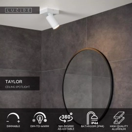 Vannas istabas griestu prožektors TAYLOR 1xGU10, IP44, balts (Lucide)