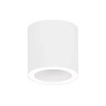 Virsapmetuma griestu lampa apaļa ģipša, GU10 max 10W (Optonica)