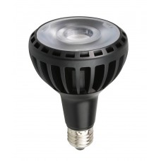 30W, E27, PAR30, LED spuldze, 2400Lm