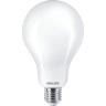 23W E27 LED spuldze 2700K, 3452lm - PHILIPS - 8718699764630