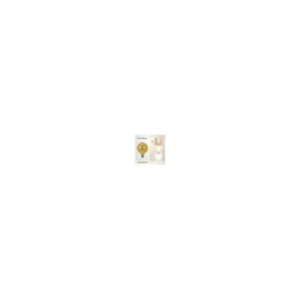 FLICK VINTAGE GFV125 LED spuldze E27 6W, 550lm, 2700K, dimmējama (VIVALUX)