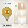 FLICK VINTAGE GFV125 LED spuldze E27 6W 550lm 2700K dimmējama (VIVALUX)