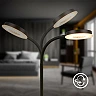 Megg LED desk lamp, 8W, 800lm, 3000K, dimmable, black (Briloner 7585015)