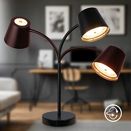 Briloner BIWO cordless LED table lamp 38.5 cm 5.5W 500lm 2700K black