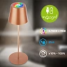 LED RGBW battery table lamp Calida 12×36 cm, 2.5 W, 200 lm, IP44, bronze