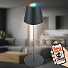 Smart LED battery table lamp Coloris 10.5×36 cm, 3.5 W, 280 lm, IP44, anthracite