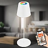 Smart LED battery table lamp Coloris 10.5×36 cm, 3.5 W, 280 lm, IP44, white