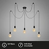 Ceiling light Ø 100 cm, 5×E27, black (Briloner)