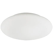 Plafoni