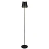 LED battery floor lamp 130 cm, 3.5 W, 400 lm, IP44, black