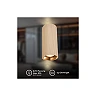 Sienas lampa IDA, 2×GU10 max. 9W, IP20, bēša (Briloner)