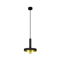 Pendant WHIZZ, 1 x E27 max. 60W, IP20, black/satin gold - FARO - 2016x