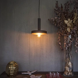 Pendant WHIZZ, 1 x E27 max. 60W, IP20, black/satin gold - FARO - 2016x