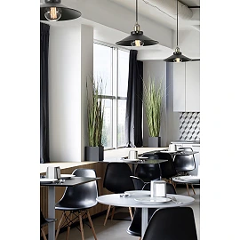 Pendant MARLIN, 1 x E27 max. 60W, IP20, black FARO - 64133