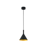 Pendant PAM-P LED, LED 11W module, IP20, black and gold/white, small - FARO - 6415x
