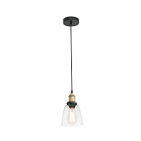 Pendant LIZ-2, 1 x E27 max. 60W, IP20, transparent -  FARO - 65080