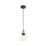 Pendant LIZ-2, 1 x E27 max. 60W, IP20, transparent - FARO - 65080