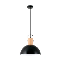 Pendant MARGOT, 1 x E27 max. 25W, IP20, black -  FARO - 68561