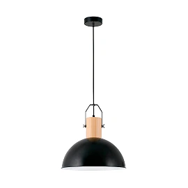 Pendant MARGOT, 1 x E27 max. 25W, IP20, black -  FARO - 68561
