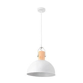 Pendant MARGOT, 1 x E27 max. 25W, IP20, black -  FARO - 68561