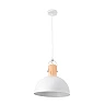 Pendant MARGOT, 1 x E27 max. 25W, IP20, black - FARO - 68561