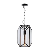 Pendant lamp "FERN", 1x E27 max. 60W, black- glass, metal - 25406/01/30 (Lucide)