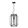 Pendant lamp "FERN", 1x E27 max. 60W, black- glass, metal - 25406/01/30 (Lucide)