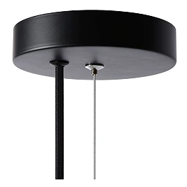 Pendant lamp "FERN", 1x E27 max. 60W, black- glass, metal - 25406/01/30 (Lucide)