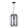Pendant lamp "FERN", 1x E27 max. 60W, black- glass, metal - 25406/01/30 (Lucide)