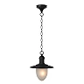 Pendant light outdoor "ARUBA", 1x E27 max. 60W - 11872-01-30 (Lucide)