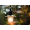 Pendant light outdoor "ARUBA", 1x E27 max. 60W - 11872-01-30 (Lucide)