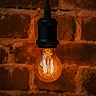 LED filamenta spuldze E27 A60 4W, 2200K, 400lm, zelta (Forever Light)