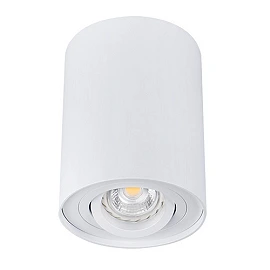 Surface mounted downlight BORD MR16/GU10 max. 50W, alu.