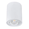 Surface mounted downlight BORD MR16/GU10 max. 50W, alu.