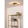 ANDREAS square LED ceiling light 30 W 2700 K matt gold/brass (Lucide)