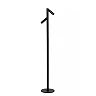 ANTRIM rechargeable floor reading lamp LED 2x2.2 W 2700 K black (Lucide)