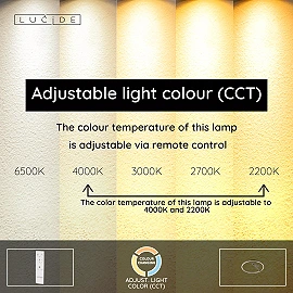 APPLAUSE flush ceiling light Ø60 LED Dim CCT 1x40W Grey iron (Lucide)