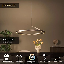 APPLAUSE pendant light Ø80 LED Dim CCT 1x50W Grey iron (Lucide)