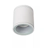 AVEN Bathroom ceiling spotlight 1x50W GU10 IP65 White (Lucide)